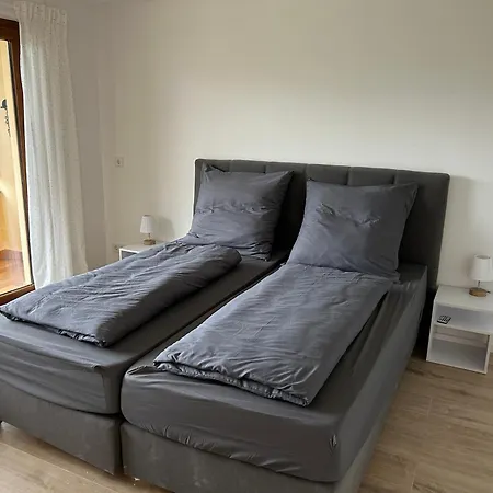 Rheinschatz 4 *
